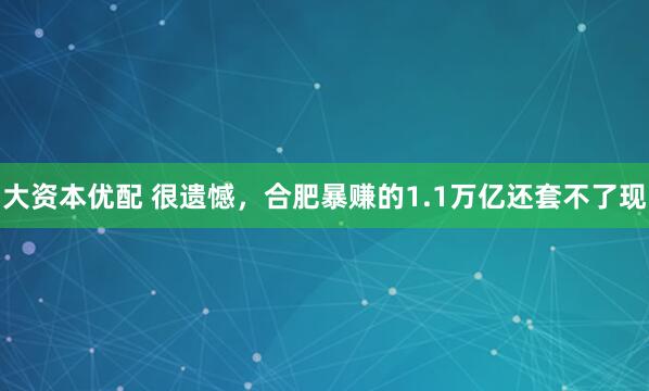 大资本优配 很遗憾，合肥暴赚的1.1万亿还套不了现