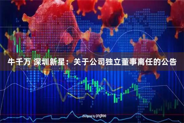 牛千万 深圳新星：关于公司独立董事离任的公告